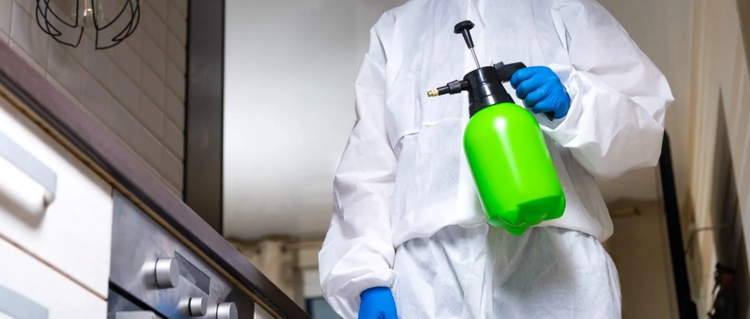 Termite treatment service