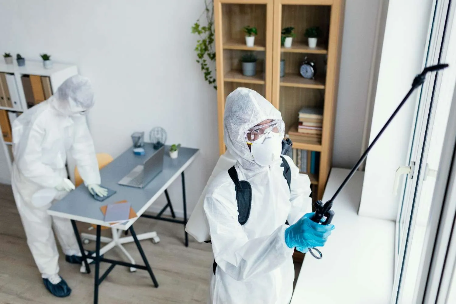 Mosquito pest control