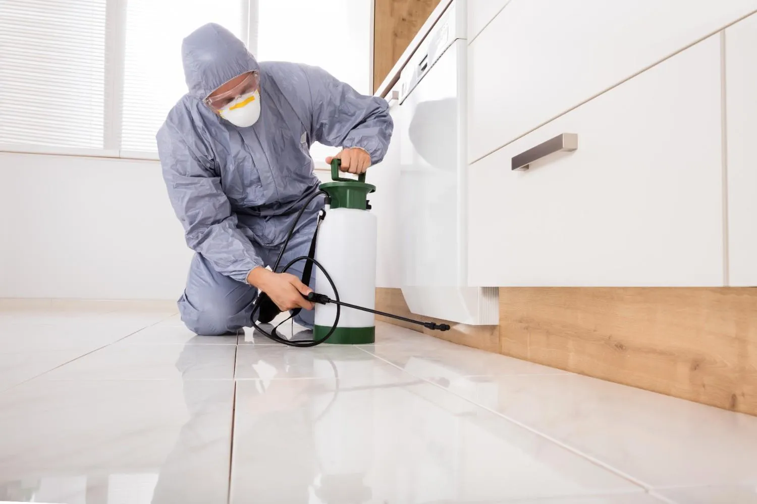 Rodent pest control